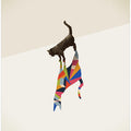 Walking Shadow, Cat
