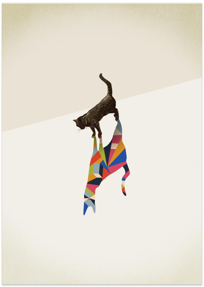 Walking Shadow, Cat