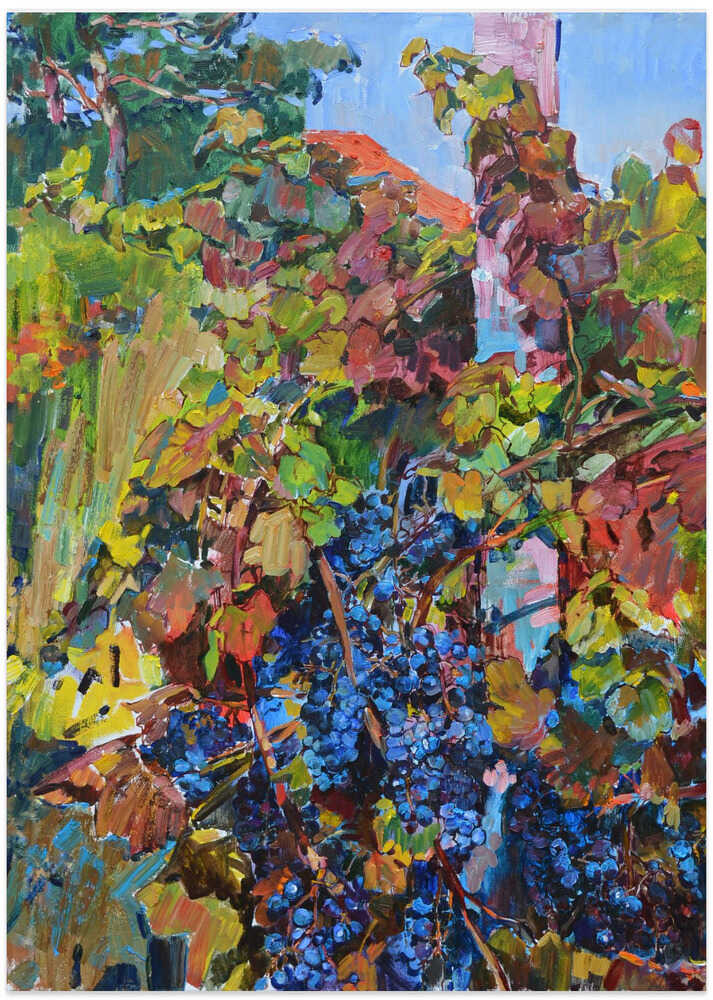Vine