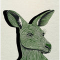 Kangaroo