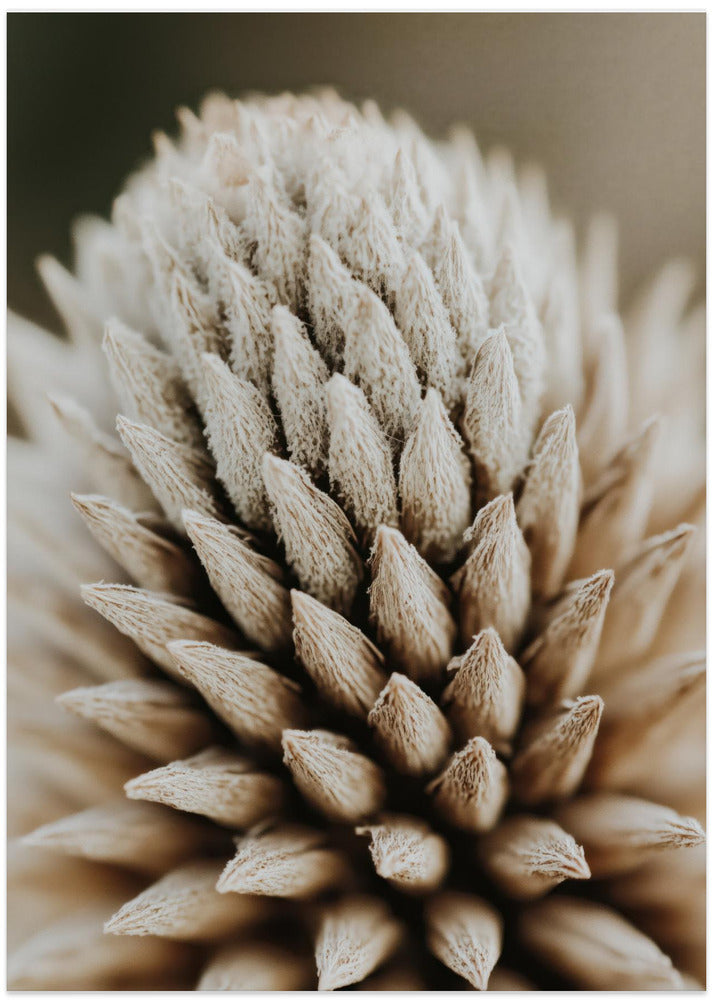 Nature's Geometry