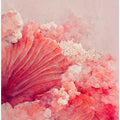 Blossom Dreamscape