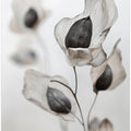 Whispering Petals