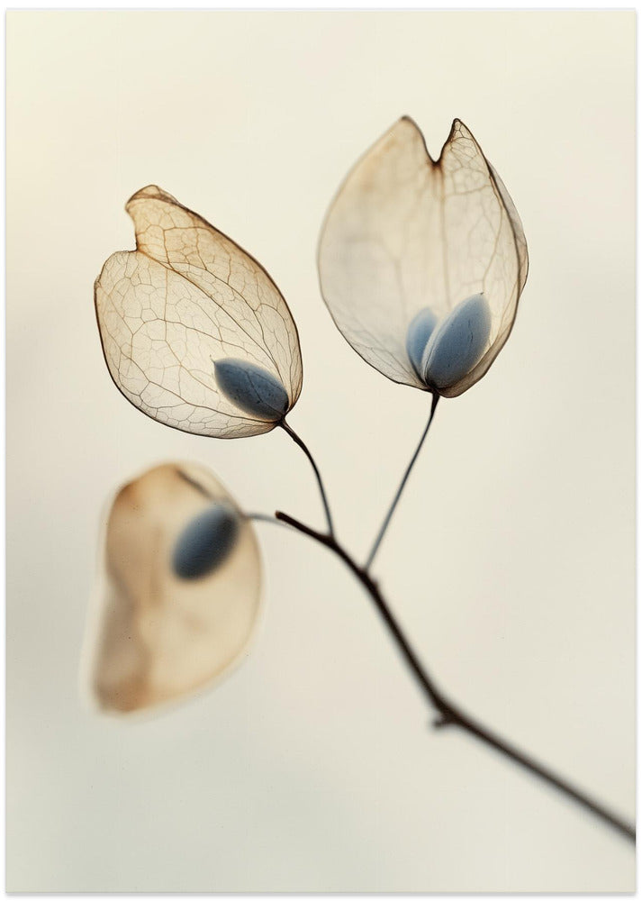 Ethereal Blooms