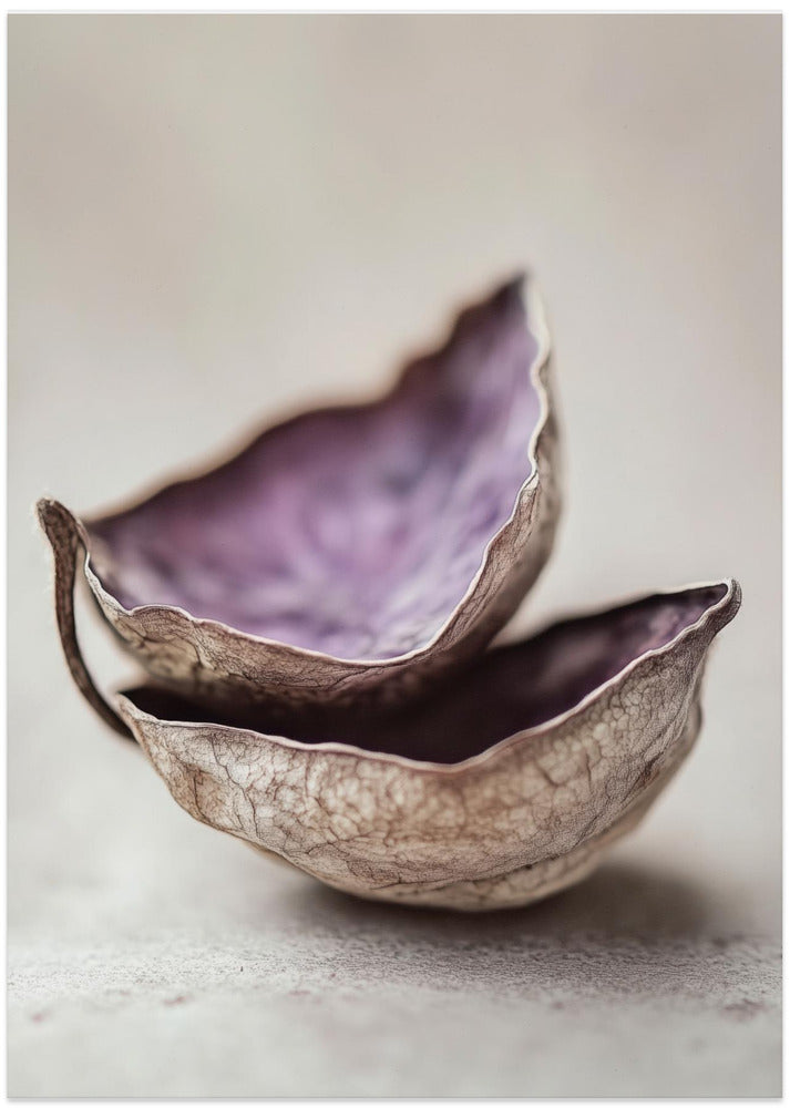Whispering Shells
