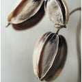 Withered Elegance