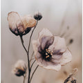 Whispering Petals