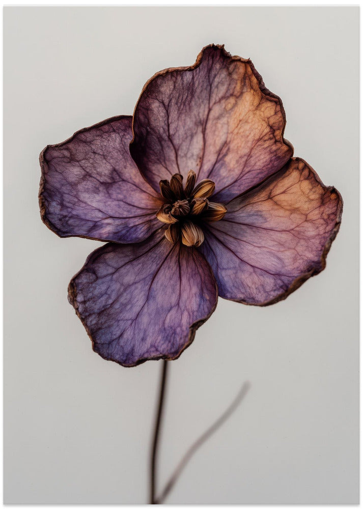 Petal Elegance