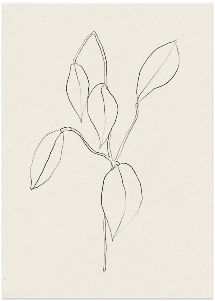 Gentle Leaf Lines