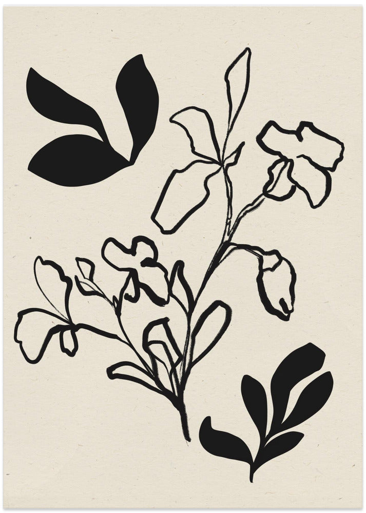 Monochrome Blooms