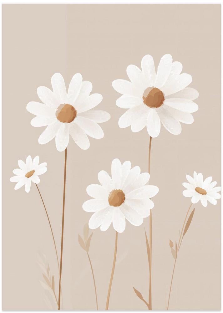 Daisy Serenity