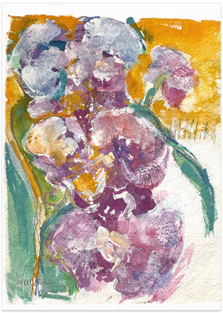 Orchid passion