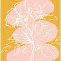Petal Silhouettes
