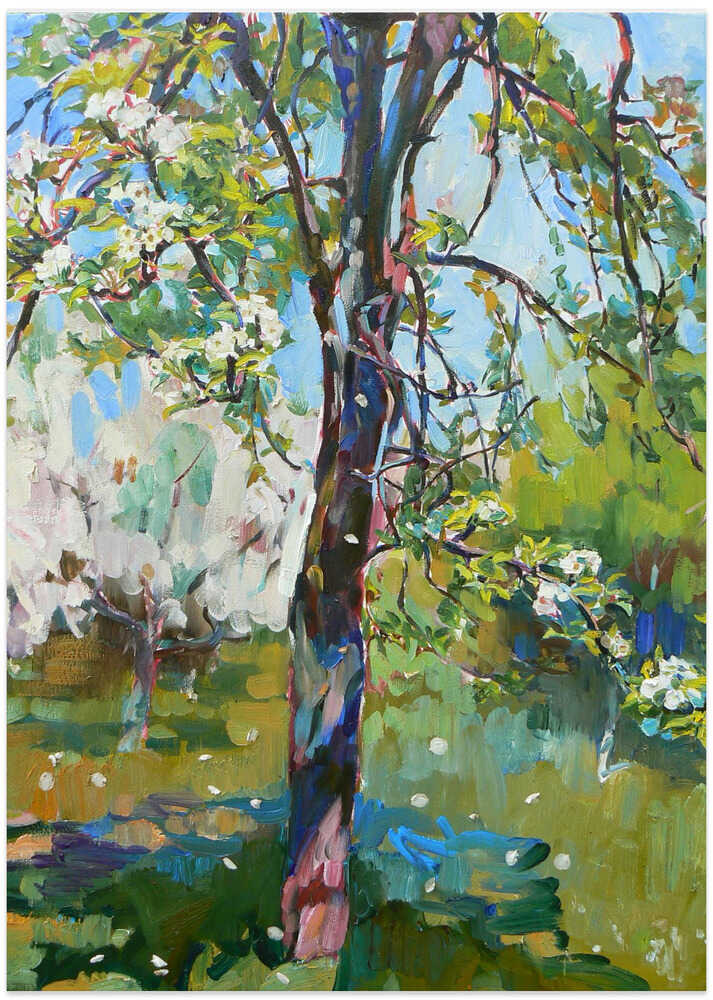 Pear tree blossom