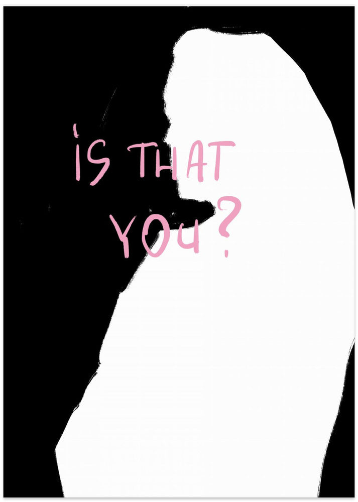 Silhouette Inquiry