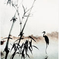 Tranquil Reflections
