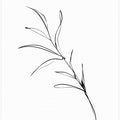 Ethereal Stems