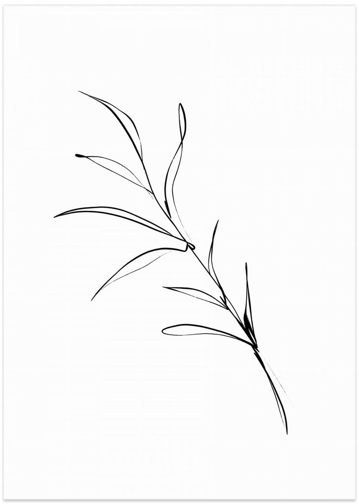 Ethereal Stems