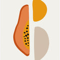 Warm Geometric Slice
