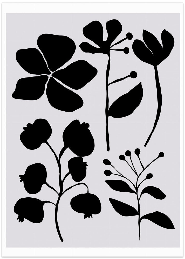 Silhouetted Blooms