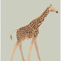Graceful Giraffe