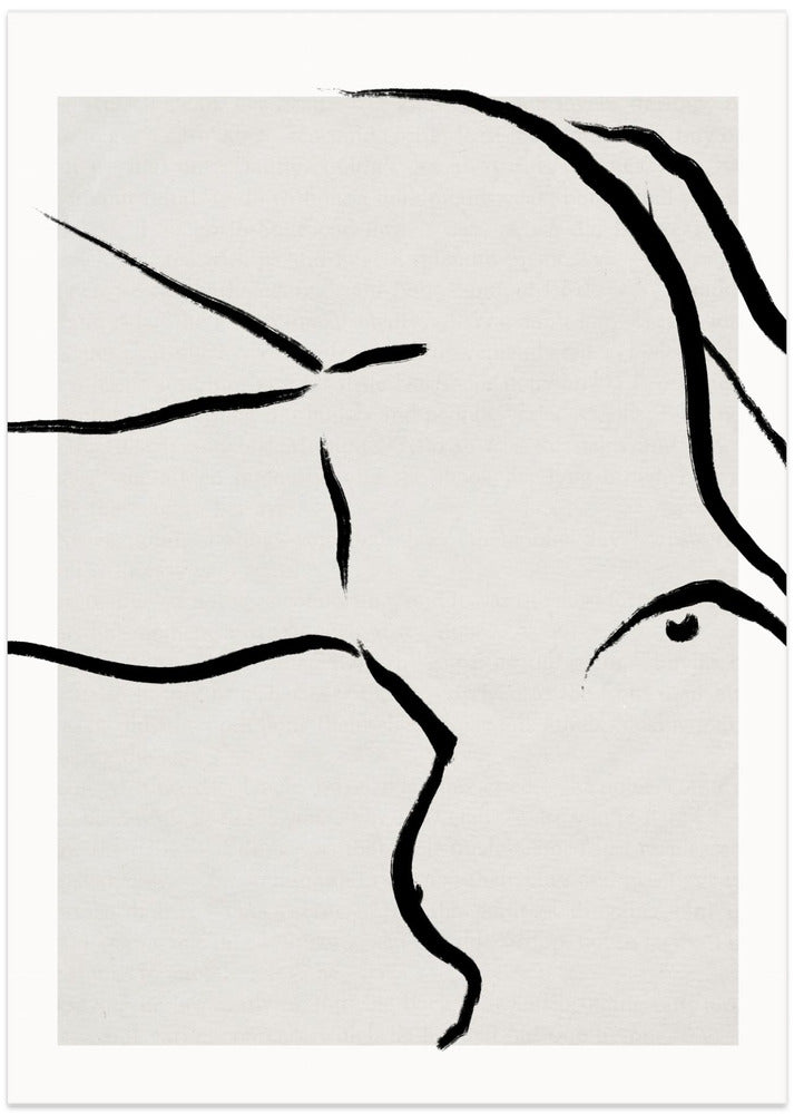 Fluid Simplicity