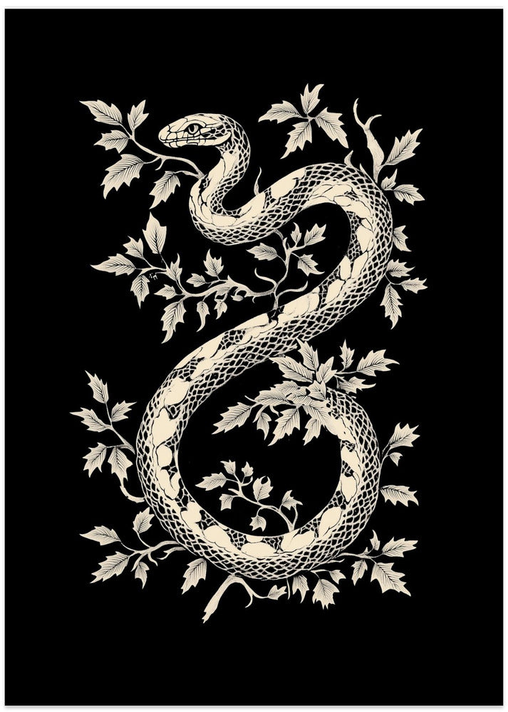 Black Snake Poster