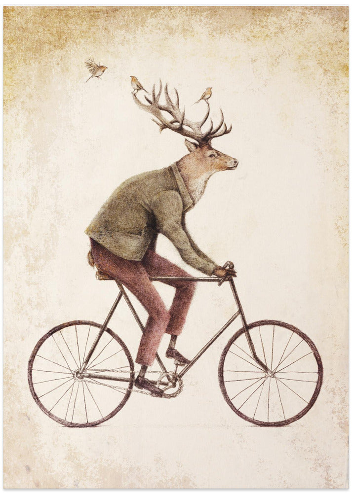Even a Gentleman rides
