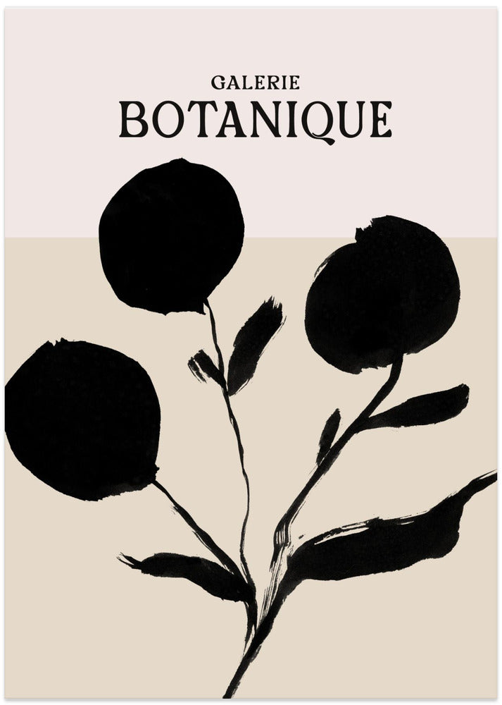 Galeriebotaniqueno8