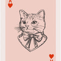 Ace of Whiskers