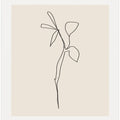 Simple Graceful Line