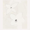 Delicate Blossoms
