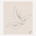 Leaf Contours