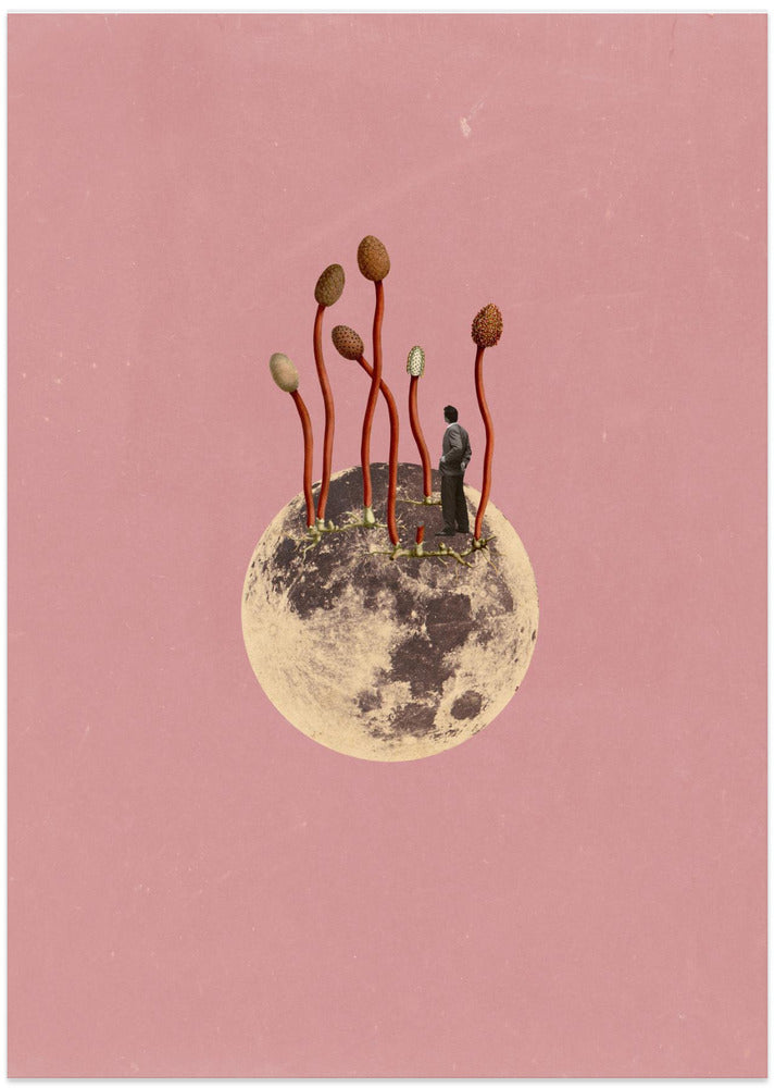 Lunar Growth