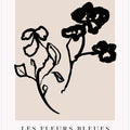 Botanical Silhouettes