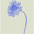 Blue Blossom Sketch