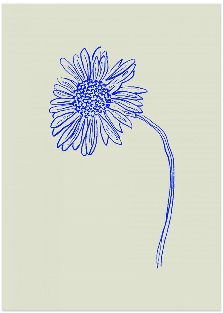 Blue Blossom Sketch