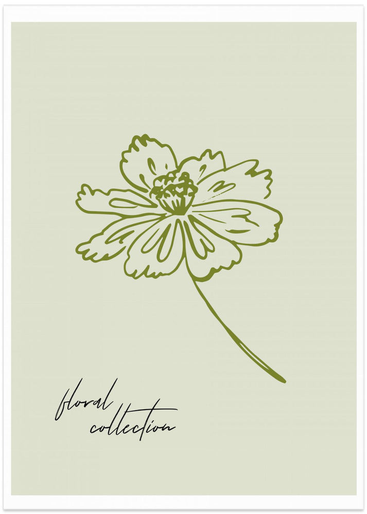 Petal Silhouette