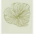 Floral Line Harmony