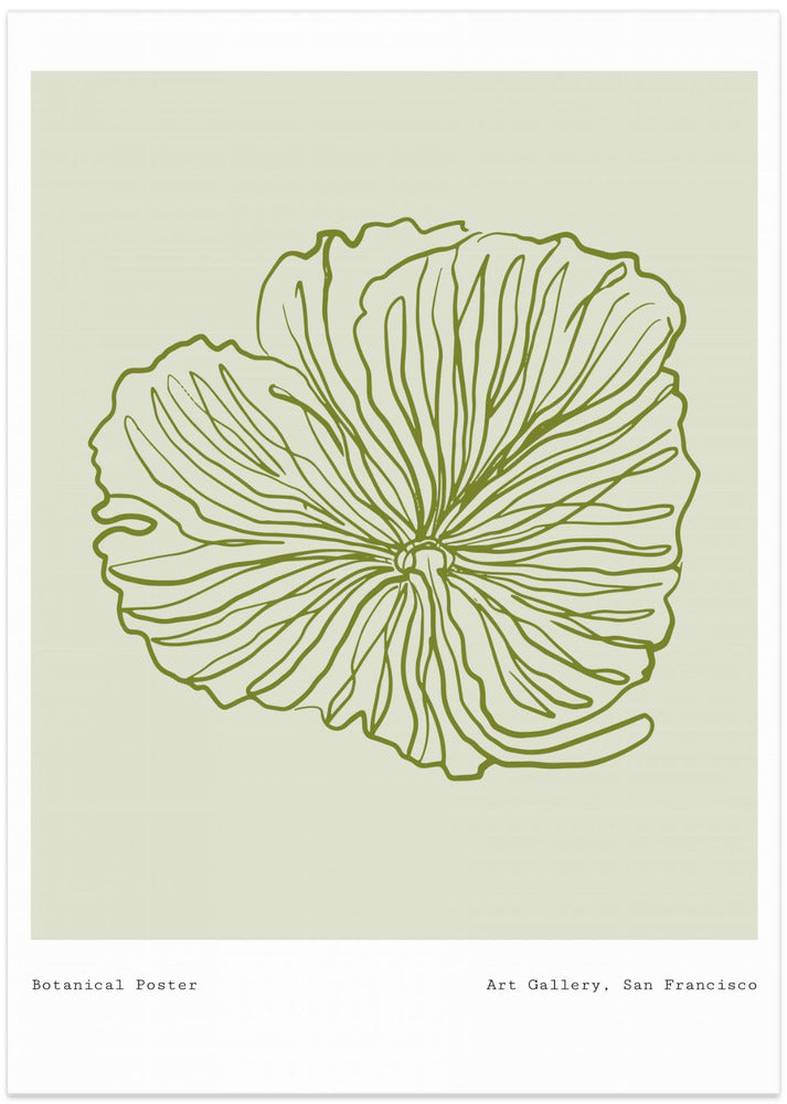 Floral Line Harmony