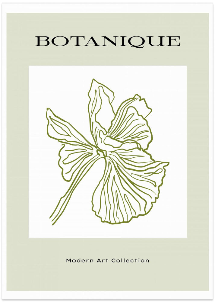 Green Flora Outline