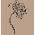 Elegant Bloom