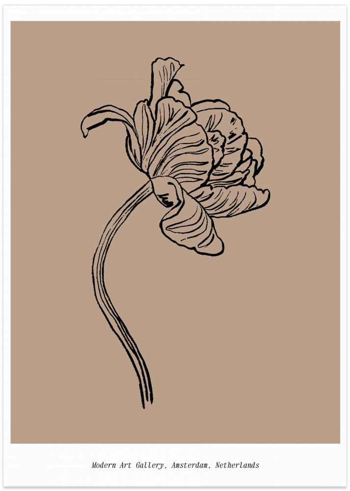 Elegant Bloom