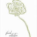 Delicate Bloom