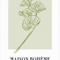 Elegant Blooms