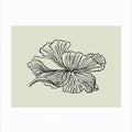 Gossamer Petals