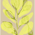 Luminous Leaves