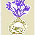 Springcollectionno05