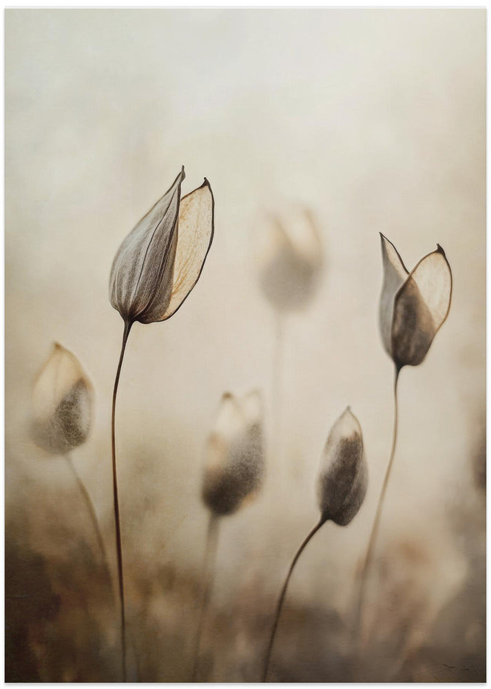 Whispers of Nature