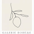 Lemon Line Elegance